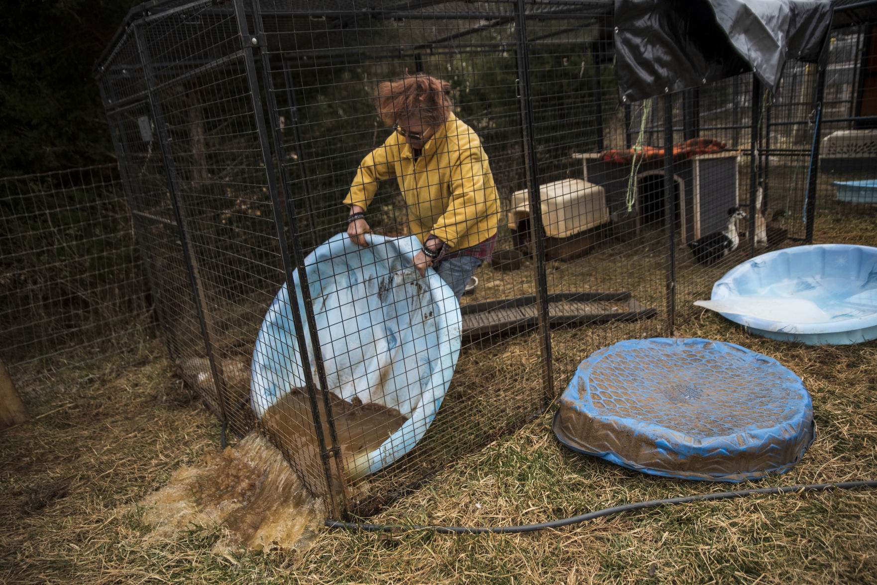 Animal Sanctuary